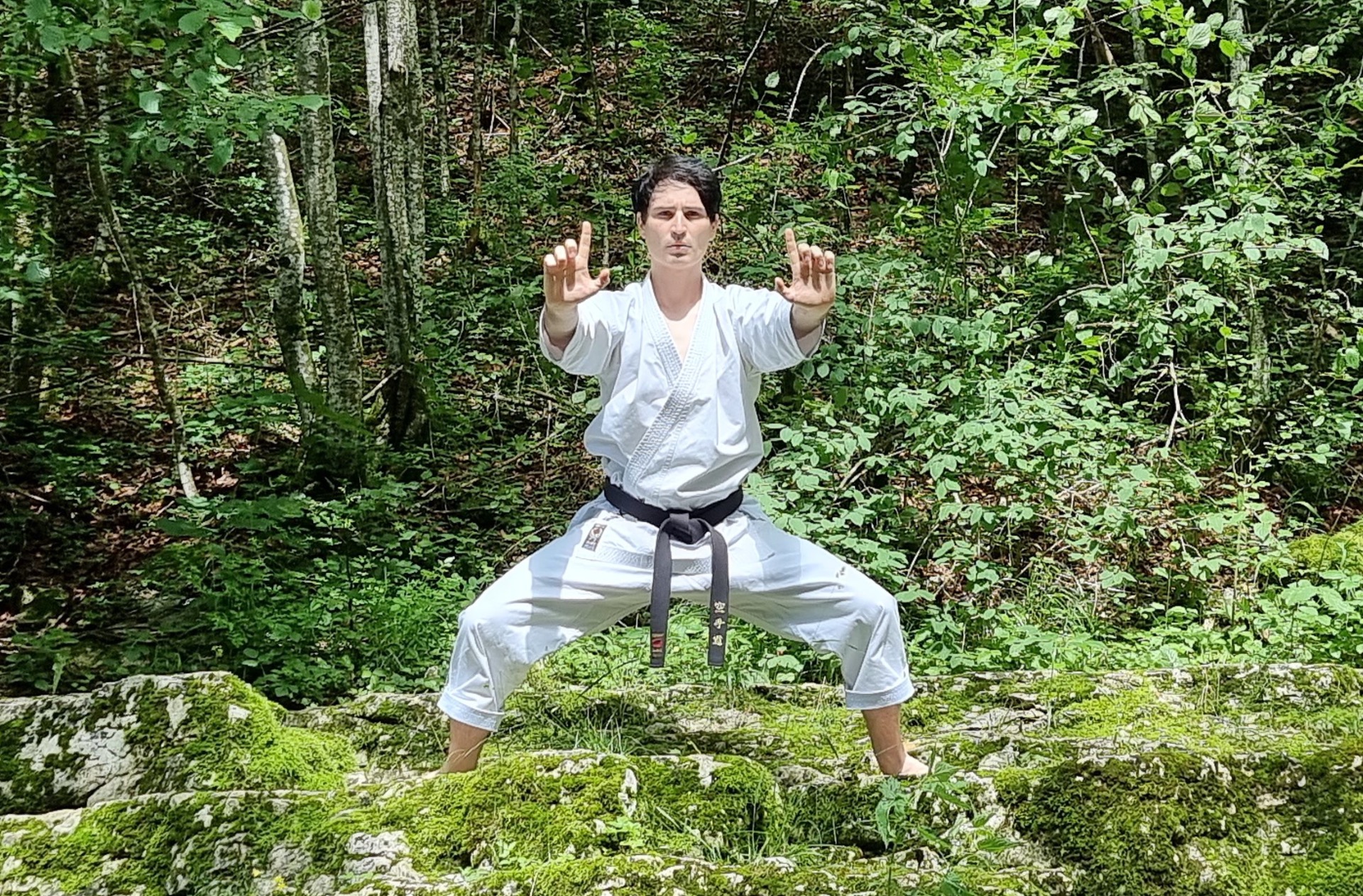 Karate do style shotokai